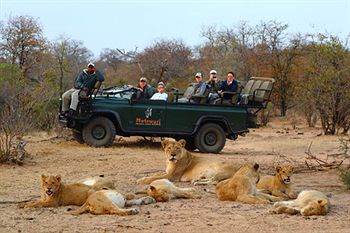 Motswari Private Game Reserve - Timbavati Réserve naturelle privée de Klaserie Extérieur photo