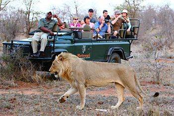 Motswari Private Game Reserve - Timbavati Réserve naturelle privée de Klaserie Extérieur photo