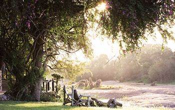 Motswari Private Game Reserve - Timbavati Réserve naturelle privée de Klaserie Extérieur photo